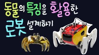 동물의 특징을 활용한 로봇 설계하기 [초등 과학 3학년 2학기 2단원 10-11차시]