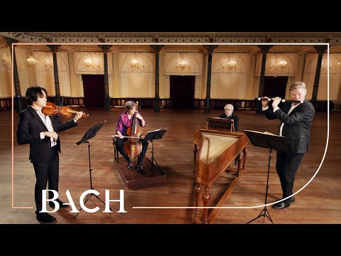 Bach - Trio Sonata from The Musical Offering BWV 1079 | Netherlands Bach Society