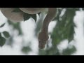 Achille Lauro - La Città Degli Angeli (Official Visual Video)