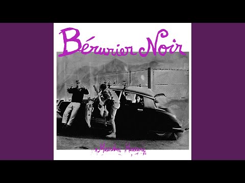 Chromosome Y - Bérurier Noir