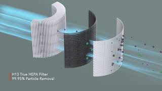 Quiet HEPA Air Purifier for Rooms Up to 559sqf