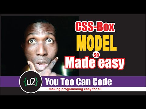 CSS box model tutorial 