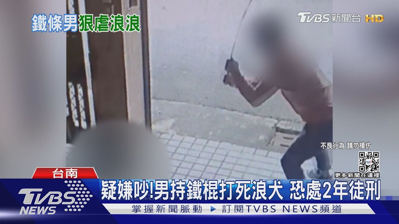 惡劣!男持鐵棍打死浪犬惹眾怒 處2年徒刑最高200萬罰金