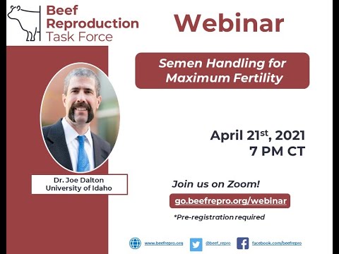 BRTF Monthly Webinar - Dr. Joe Dalton 04/21/21