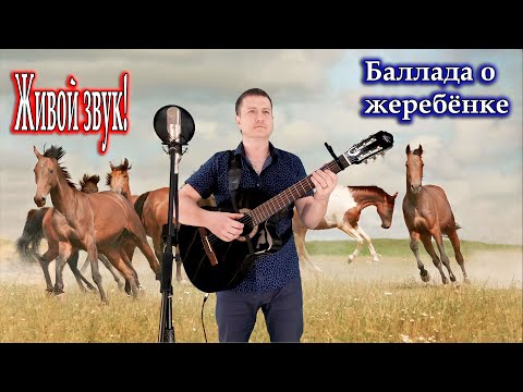 исп. Владимир Need Soul Кузьмин - Баллада о жеребёнке (cover version)