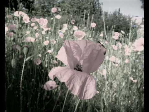 Dio Salva | Je bent nu Thuis