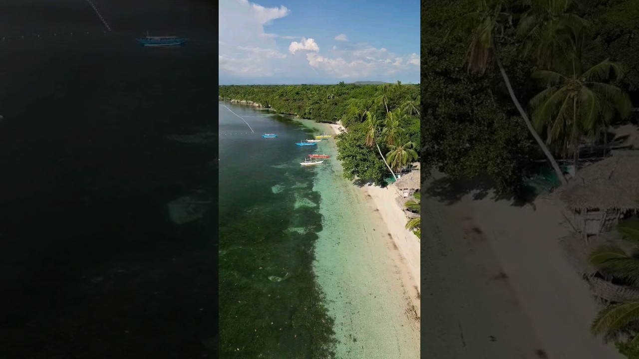 YouTube Short thumbnail