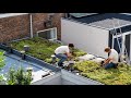 'Dakboswachters' gezocht om buurten te vergroenen