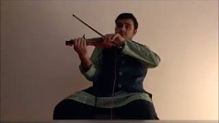 O Paalanhaare | Lagaan | A R Rahman | Aamir Khan | Lata Mangeshkar | Violin Cover | Vineeth Rajan