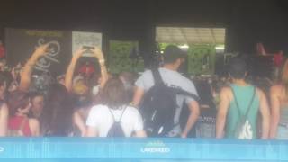 All Hail Rock n Roll