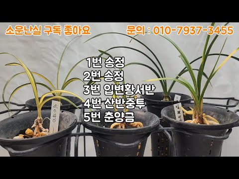 유튜브 썸네일
