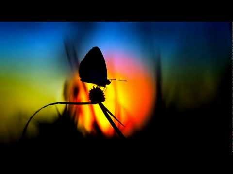 Oliver Smith - Butterfly Effect (Club Mix)