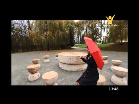 Alina Buica Mateciuc - Prin vremi