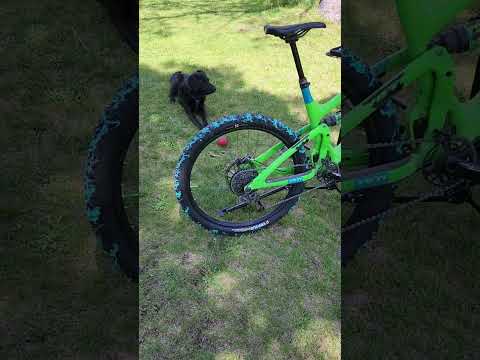 Yeti SB6-C from 2016. Top shelf components and still a screamin' machine. #mtblife #mtb