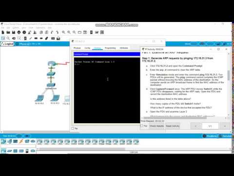 9.2.9 Packet Tracer - Examine the ARP Table