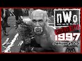NWo Souled Out Recap 1997