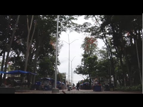 Jardim Público de Rio Claro recebe novo sistema de iluminação