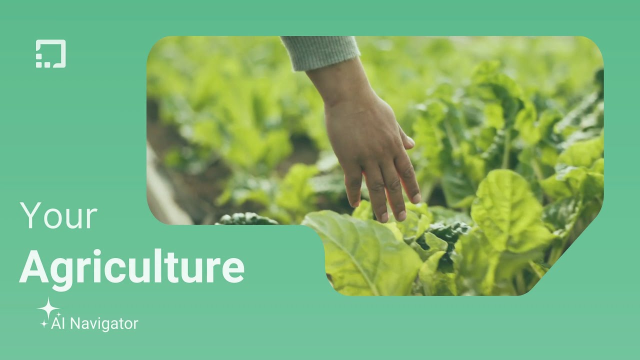 Agriculture Decision Intelligence — Rubiscape in Action