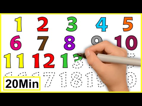 Aprenda Escrever os Números - Vídeo Educativo - Tio André e o Galo Cocó