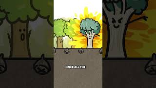 Eucalyptus Trees Are Built For Fire?!