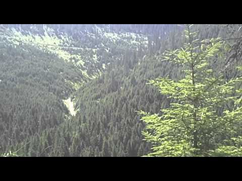 iacobeni spre borsa2013august! 12)