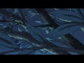 mai - videoclub (slowed + reverb)