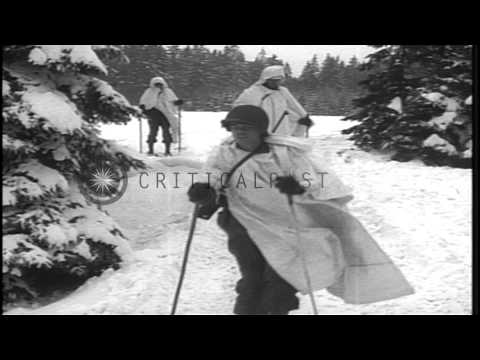 US soldiers on skis move through snow-covered Hurtgen Forest in Vossenack, German...HD Stock Footage