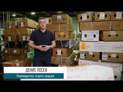 GFG | ЦВЕТЫ ОПТОМ. Роза пионовидная, микс, 40 см •Плантация Subati • Кения