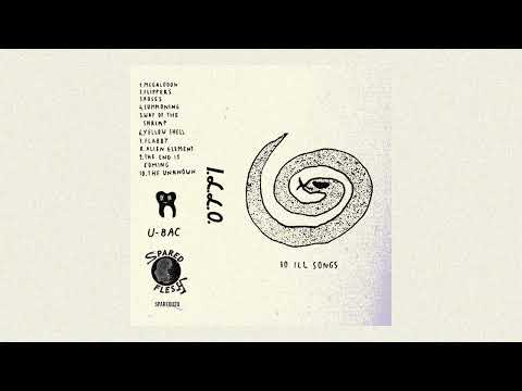 I.L.L.O.  - 10 ILL SONGS (2024 / full album)