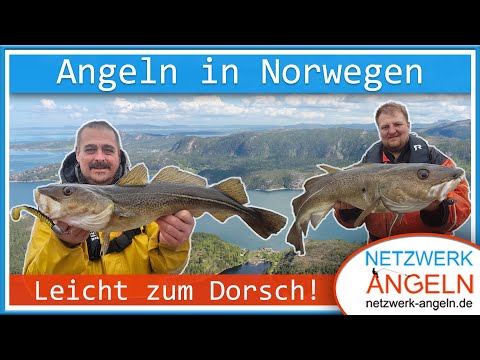 Angeln in Norwegen 2022: Dorschangeln mit der Spinnrute am Imarsund!
