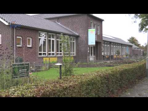 Hangjeugd op dak school Egchel