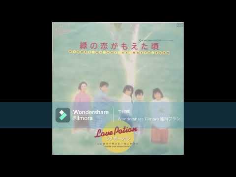 緑の恋がもえた頃 | ラブ・ポーション Lyrics, Meaning & Videos