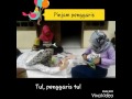 Video Lucu