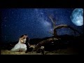 Blue Telescope Performed by Mr John Hiatt