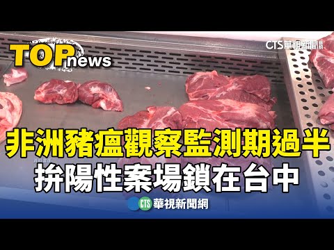 非洲豬瘟觀察監測期過半　拚陽性案場鎖在台中