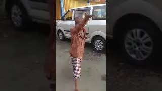 Download lagu Story WA bisane mung nyawang.. Keren goyanganya 😂😂 mp3