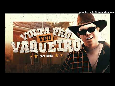 VOLTA PRO TEU VAQUEIRO - Dj Ivis (audio OFICIAL)