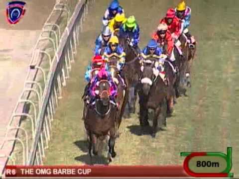 Polar Bound ridden by Fausto Durso wins the 2014 Barbe Cup