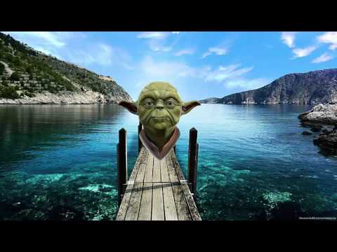 Raynor Bruges - Real Bitches Twerk Low (YODA-REMIX)