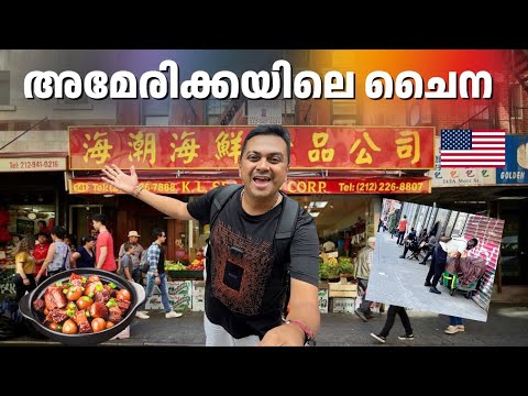 China Town in New York | ഇവിടെ എല്ലാം ചൈനീസ് മയം 🤣