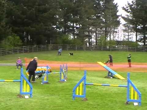 Rae C3 5 Agility Kernow 070412