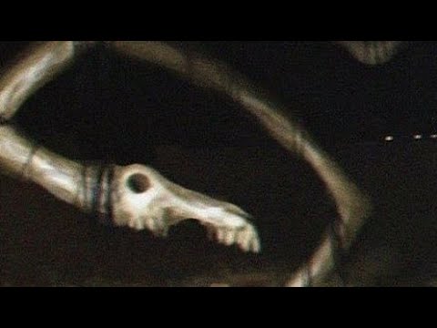 NON GUARDARE LONG HORSE (SCP 3787) Giaknite scp #13