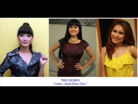 Album TRIO CECEPU