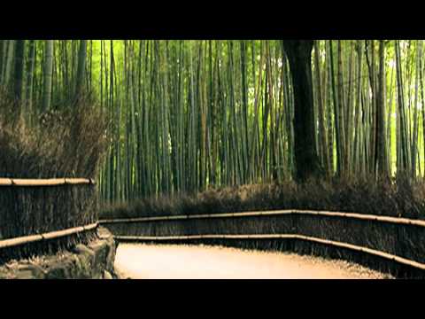 Plue Starfox - Bamboo Forest, Kyoto (Sol) Bump