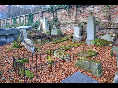 Der Jüdische Friedhof Währing in Wien 2016