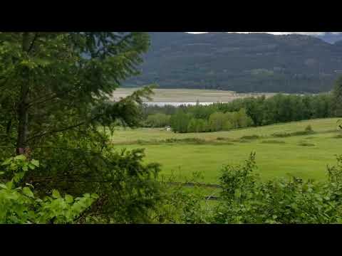 Land Video Land Video