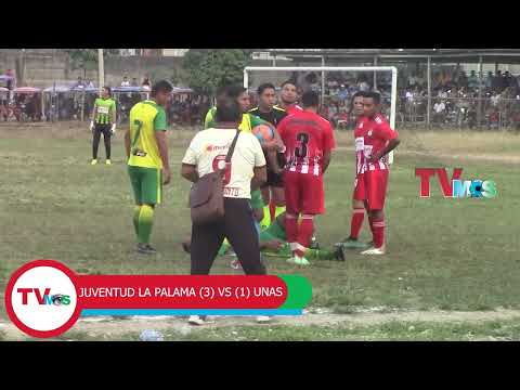 COPA PERU J  PALMA VD  UNAS
