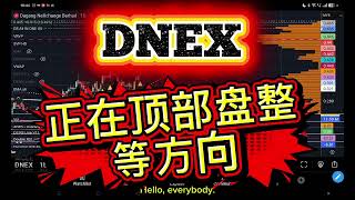 DNEX 可以追吗？让市场告诉你! 正在顶部盘整等方向！筹码峰技术分析！中英字幕 ENG SUB