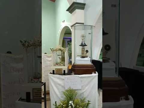 Santa Misa Honor a San José Gregorio Hernández y Santa Carmen Rendiles, Mons.Roberto Sipols #parati