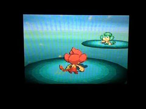 Pokemon Black and White Walkthrough - Part 8